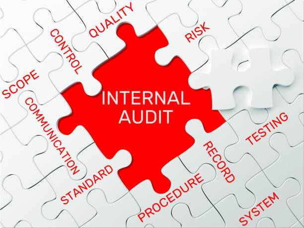 INTERNAL AUDIT - PUZZLE CONCEPT